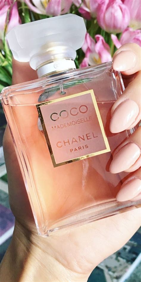 migliori profumi di chanel|coco Chanel cheapest price.